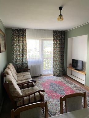 Apartament ultracentral Botis